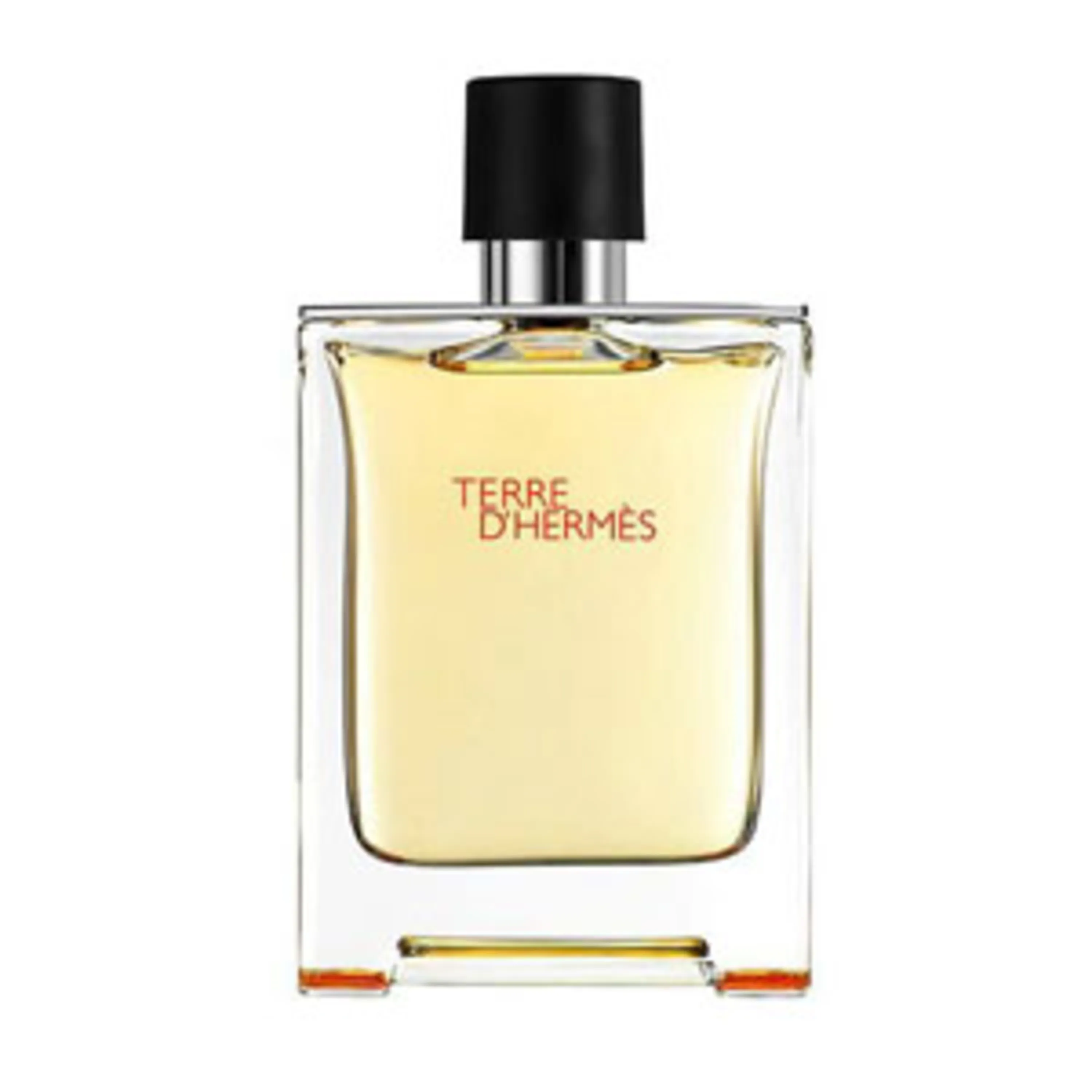 ادکلن هرمس تق perfume terre d hermes ادکلن هرمس تق perfume terre d hermes