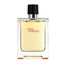 ادکلن هرمس تق perfume terre d hermes gallery0